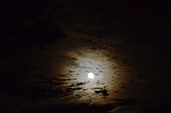fullmoon 012